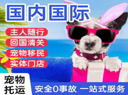 厦门高崎航空运输国际宠物托运 【国